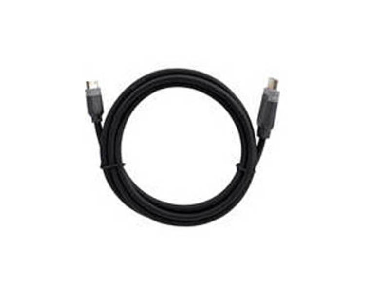 Belkin AV22303B06 6 Feet Audio/Video Cable - HDMI (Mini Type C) Male Digital Audio/Video, HDMI (Type A) Male Digital Audio/Video