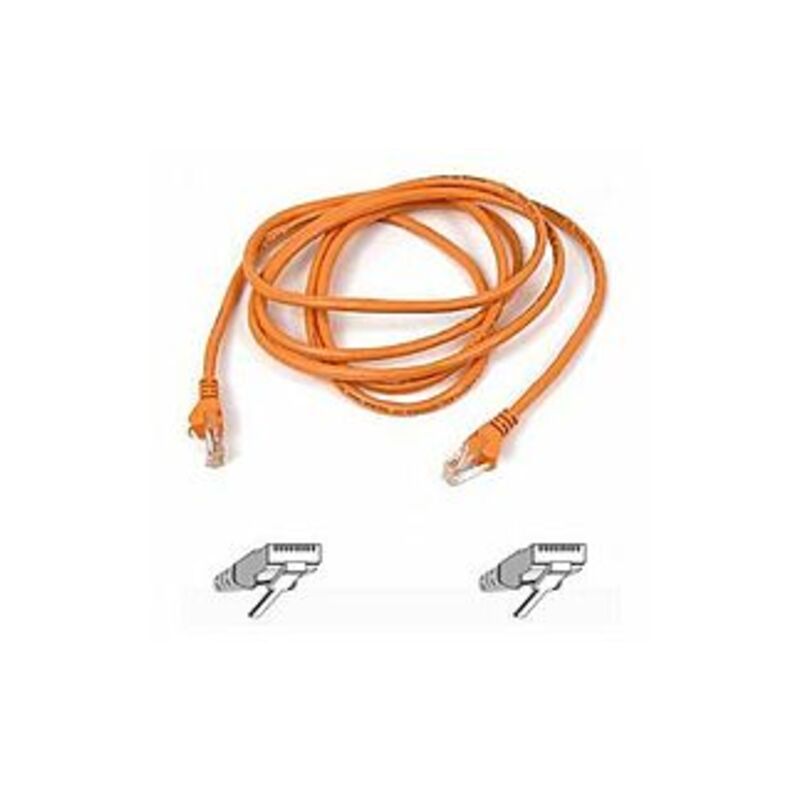 Belkin Cat5e Patch Cable - RJ-45 Male Network - RJ-45 Male Network - 7ft - Orange -  Belkin Components, A3L791-07-ORG-S